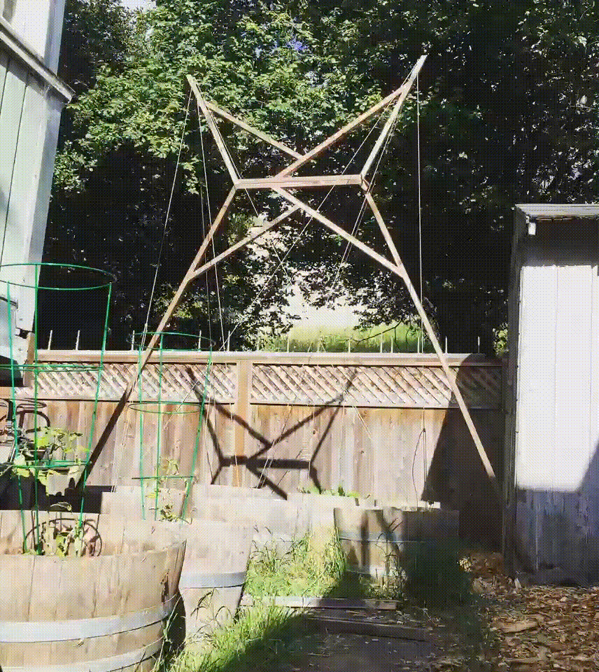 Showing the hop growth over the summer season